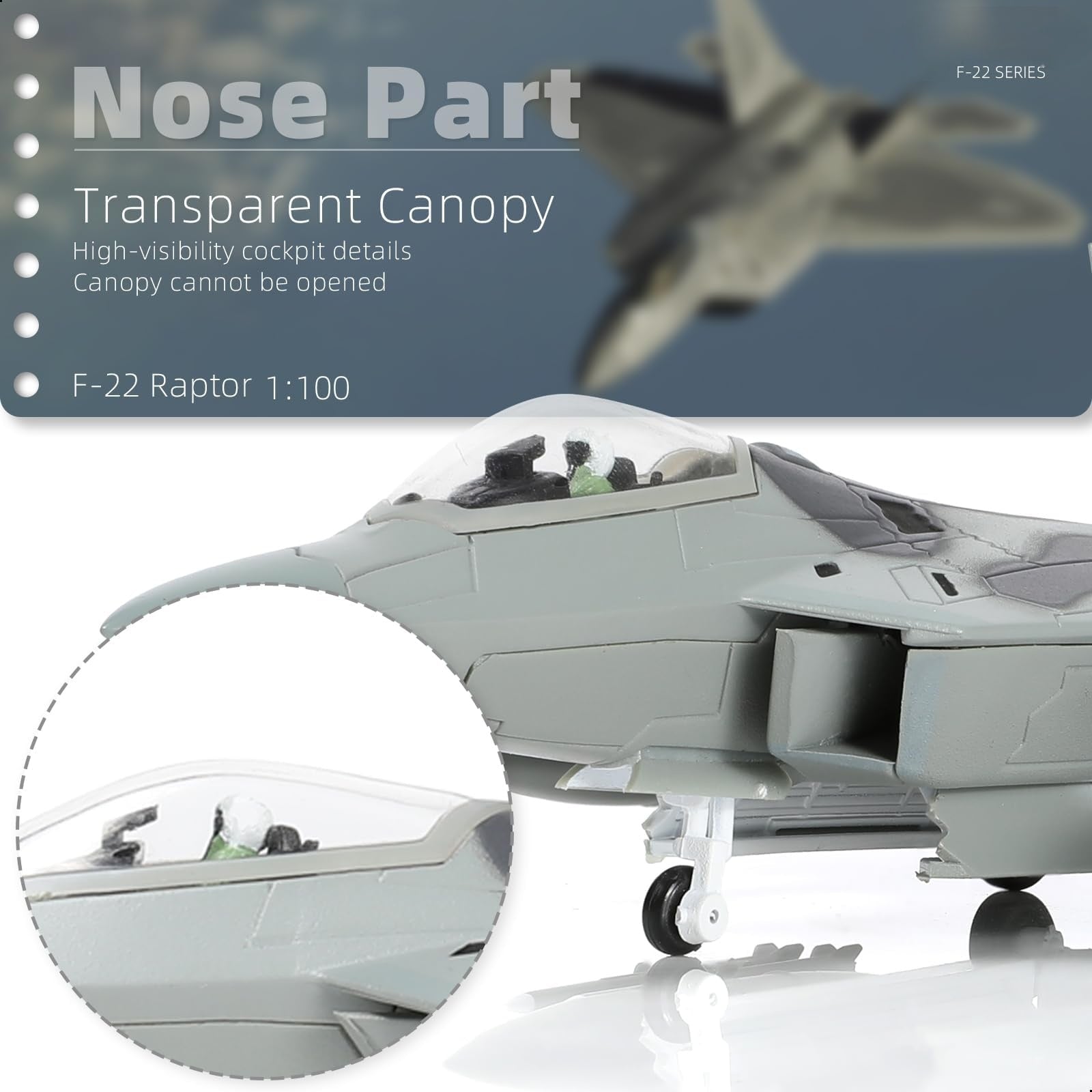 1/100 F-22 Raptor AF91 “4002 Old Reliable” Die-cast Fighter Jet Model