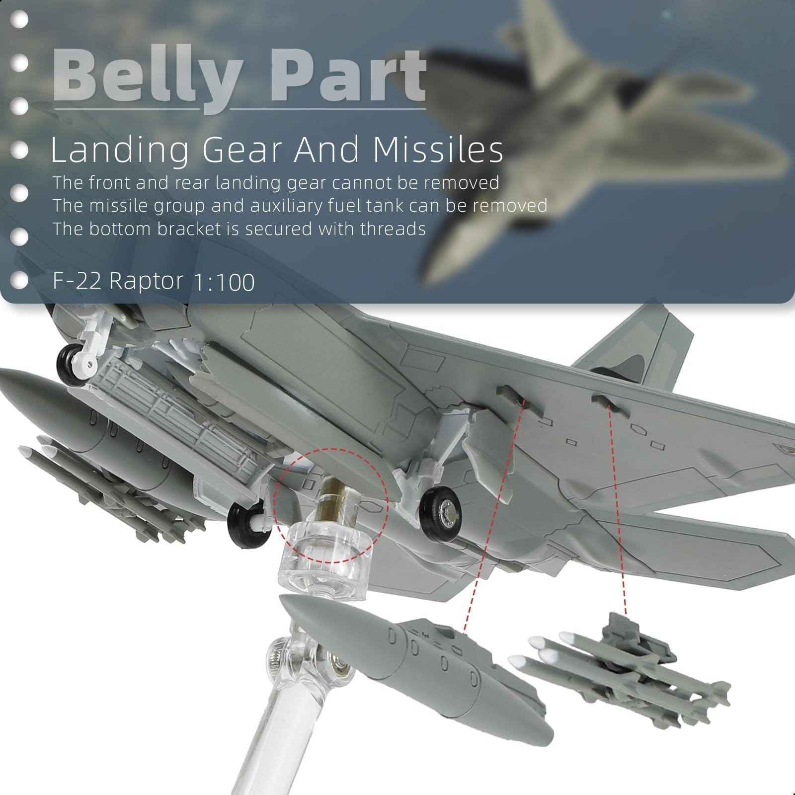 1/100 F-22 Raptor AF91 “4002 Old Reliable” Die-cast Fighter Jet Model